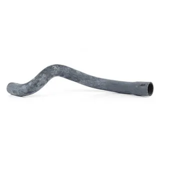 Durite de radiateur BSG BSG 65-720-016