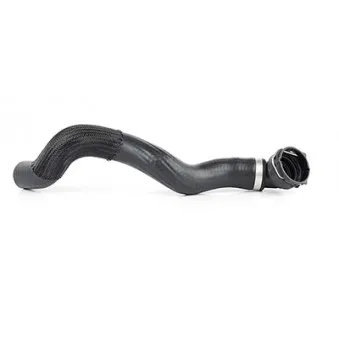 Durite de radiateur BSG BSG 65-720-059