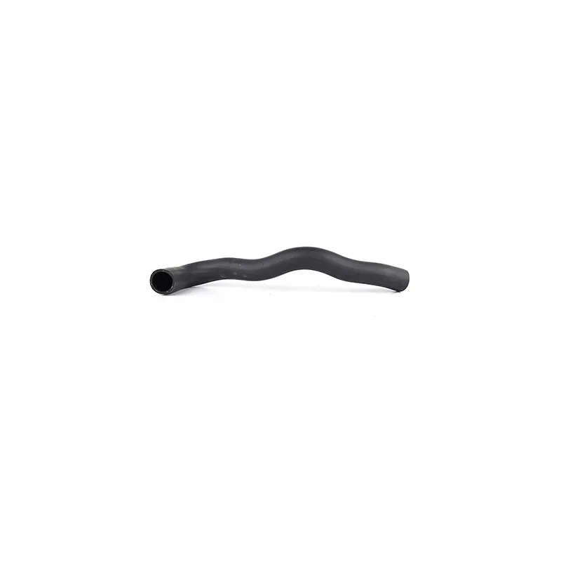 Tuyau d'aspiration, alimentation d'air BSG BSG 65-720-099