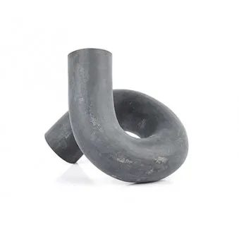 Durite de radiateur BSG BSG 65-720-106
