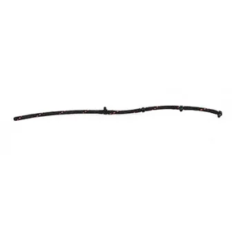 Tuyau, carburant de fuite BSG BSG 65-725-003