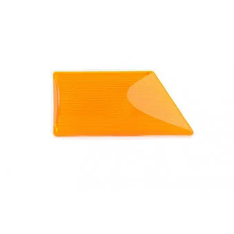 Feu clignotant BSG BSG 65-810-009