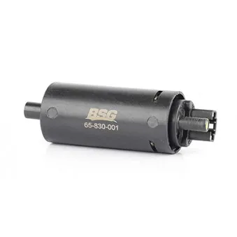Pompe à carburant BSG BSG 65-830-001