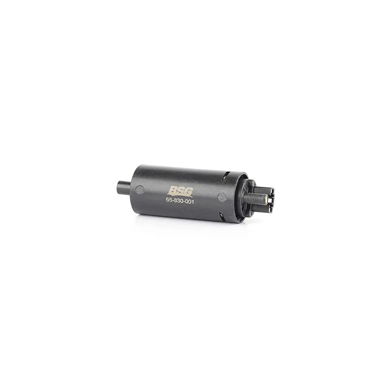 Pompe à carburant BSG BSG 65-830-001