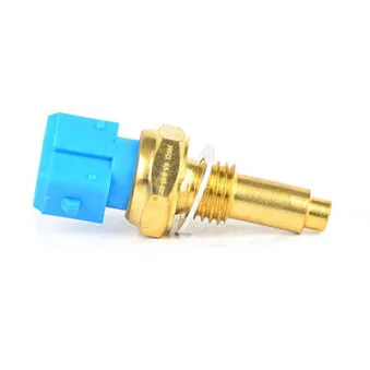 Sonde de température, liquide de refroidissement BSG BSG 65-840-027