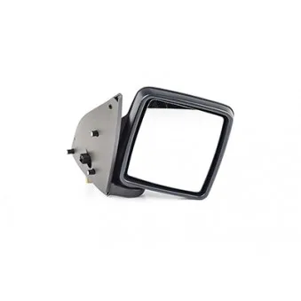 Rétroviseur extérieur BSG BSG 65-900-040