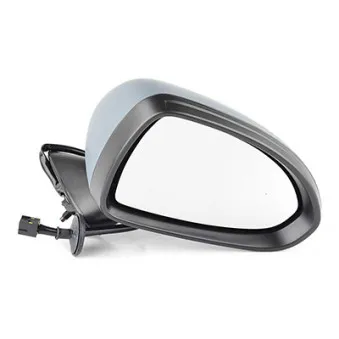 Rétroviseur extérieur BSG BSG 65-900-052