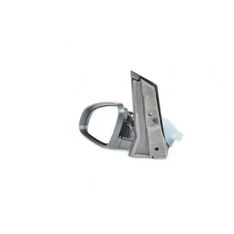 Rétroviseur extérieur BSG BSG 65-900-074