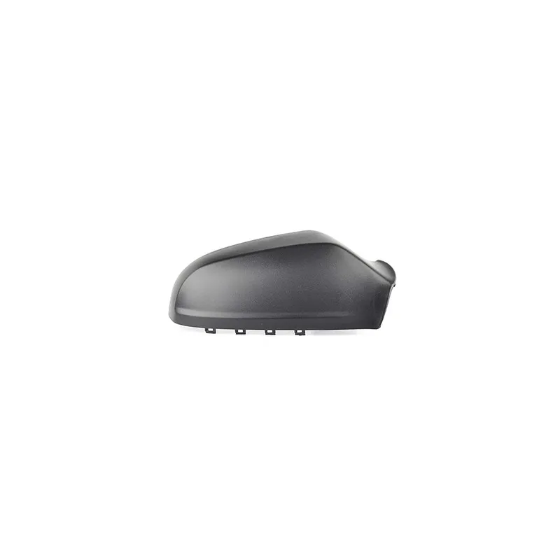 Revêtement, rétroviseur extérieur BSG BSG 65-915-022