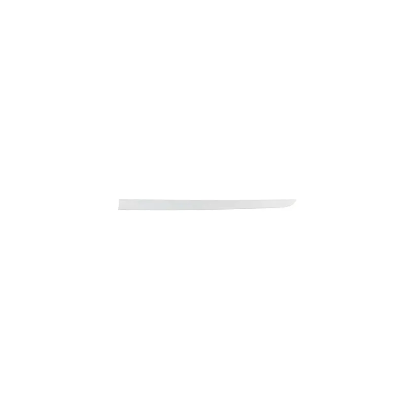 Baguette et bande protectrice, porte avant gauche BSG BSG 65-924-001
