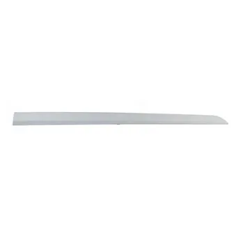 Baguette et bande protectrice, porte avant droit BSG BSG 65-924-002