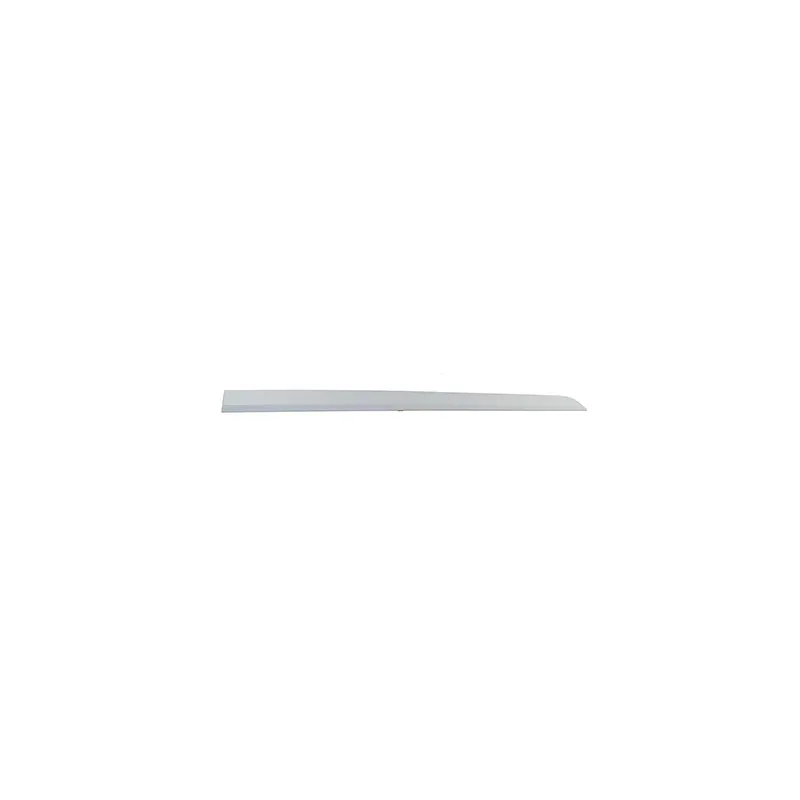 Baguette et bande protectrice, porte avant droit BSG BSG 65-924-002