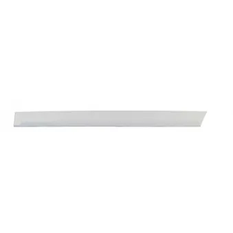 Baguette et bande protectrice, porte arrière gauche BSG BSG 65-924-003