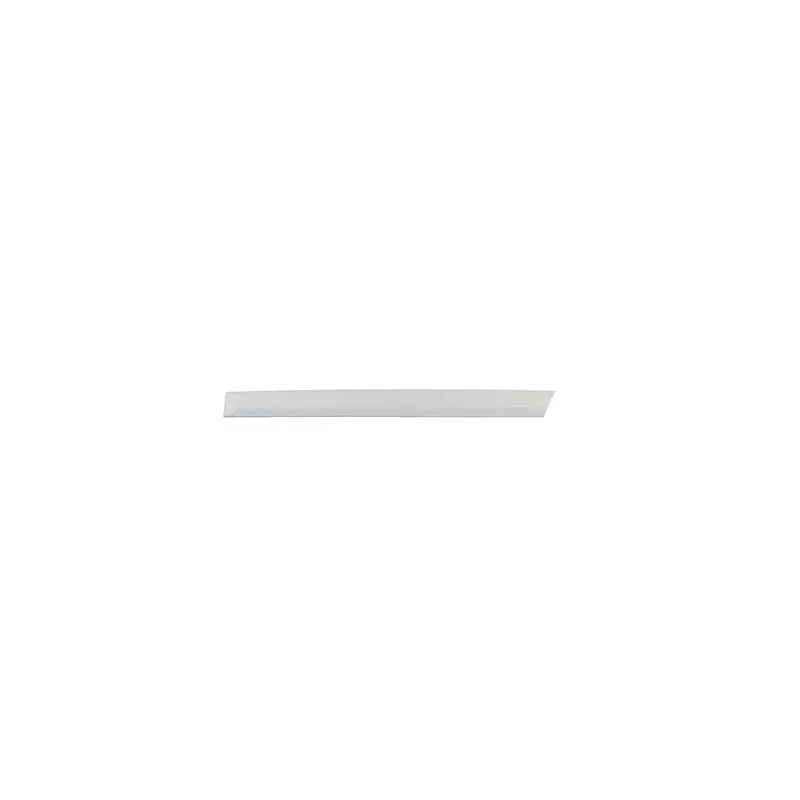 Baguette et bande protectrice, porte arrière gauche BSG BSG 65-924-003