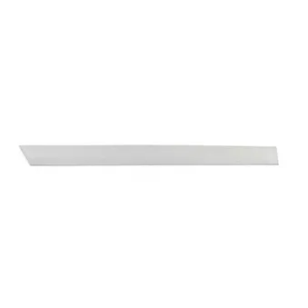 Baguette et bande protectrice, porte arrière droit BSG BSG 65-924-004