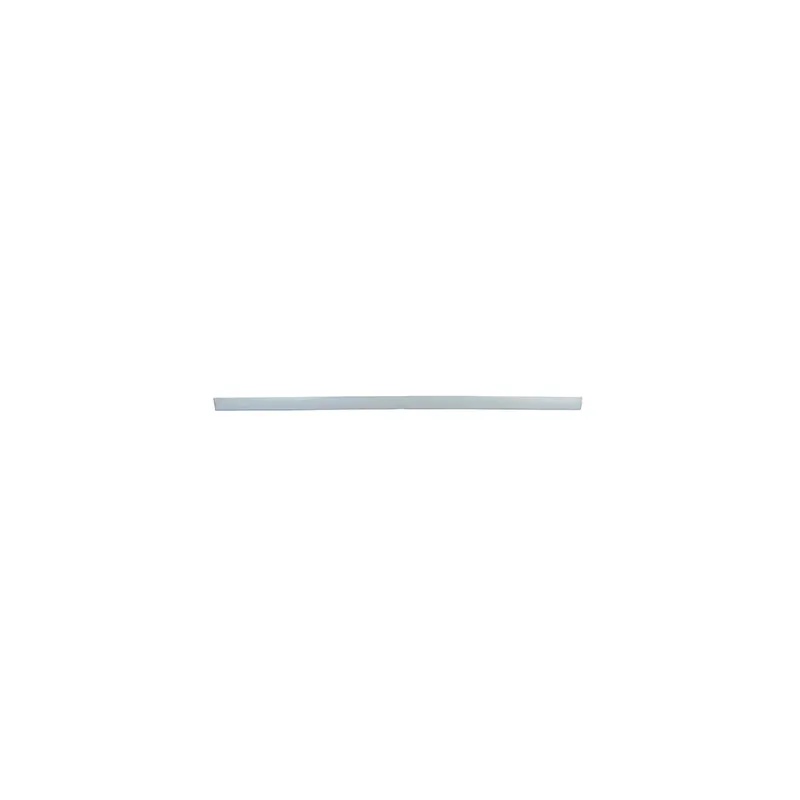 Baguette et bande protectrice, porte avant gauche BSG BSG 65-924-006