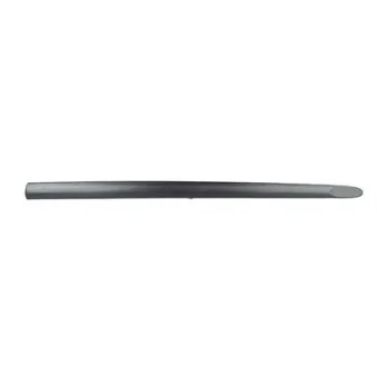 Baguette et bande protectrice, porte avant gauche BSG BSG 65-924-011