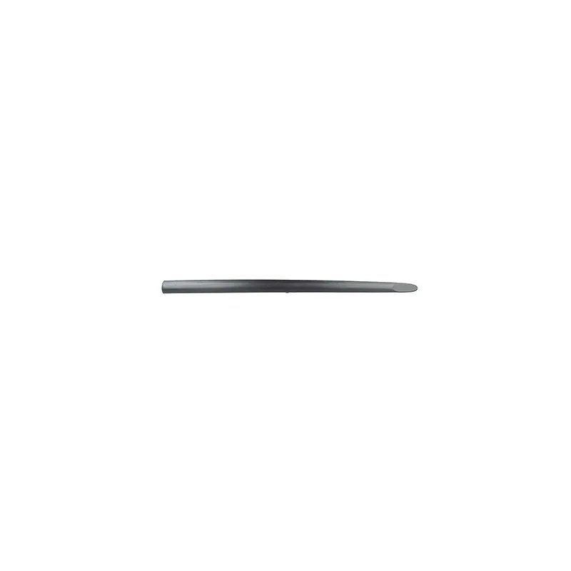 Baguette et bande protectrice, porte avant gauche BSG BSG 65-924-011