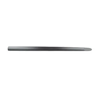 Baguette et bande protectrice, porte avant droit BSG BSG 65-924-012