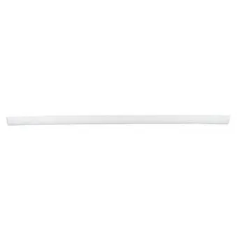 Baguette et bande protectrice, porte avant droit BSG BSG 65-925-002
