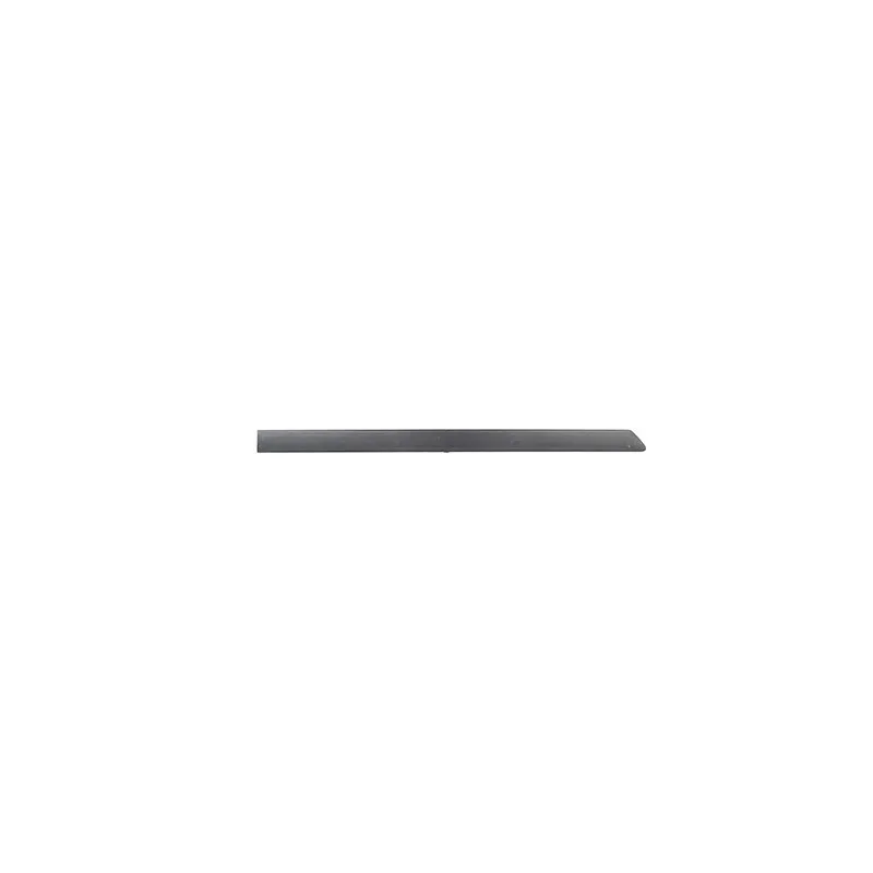 Baguette et bande protectrice, porte BSG BSG 65-925-004