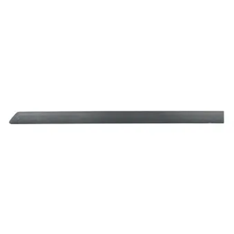 Baguette et bande protectrice, porte BSG BSG 65-925-005