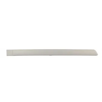 Baguette et bande protectrice, porte arrière droit BSG BSG 65-925-008