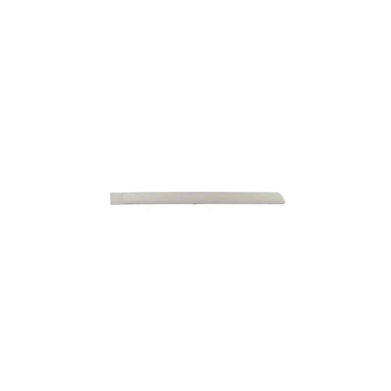 Baguette et bande protectrice, porte arrière droit BSG BSG 65-925-008