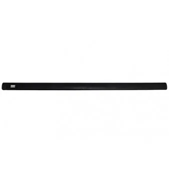 Baguette et bande protectrice, porte avant gauche BSG BSG 65-925-010