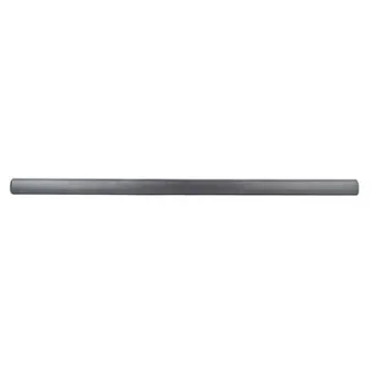Baguette et bande protectrice, porte avant gauche BSG BSG 65-925-011