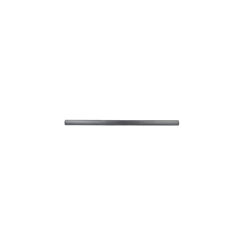 Baguette et bande protectrice, porte avant gauche BSG BSG 65-925-011