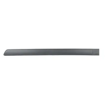 Baguette et bande protectrice, porte arrière gauche BSG BSG 65-925-012