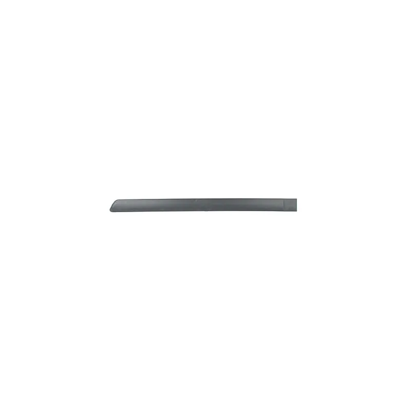 Baguette et bande protectrice, porte arrière gauche BSG BSG 65-925-012