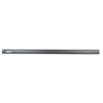 Baguette et bande protectrice, porte avant droit BSG BSG 65-925-013