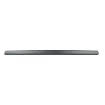 Baguette et bande protectrice, porte avant droit BSG BSG 65-925-014