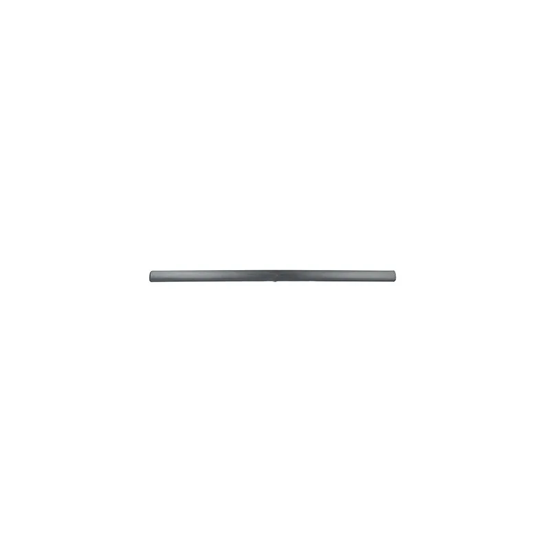 Baguette et bande protectrice, porte avant droit BSG BSG 65-925-014