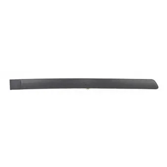 Baguette et bande protectrice, porte arrière droit BSG BSG 65-925-015