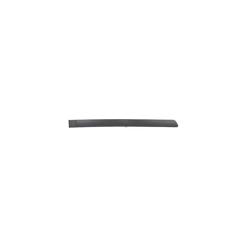 Baguette et bande protectrice, porte arrière droit BSG BSG 65-925-015