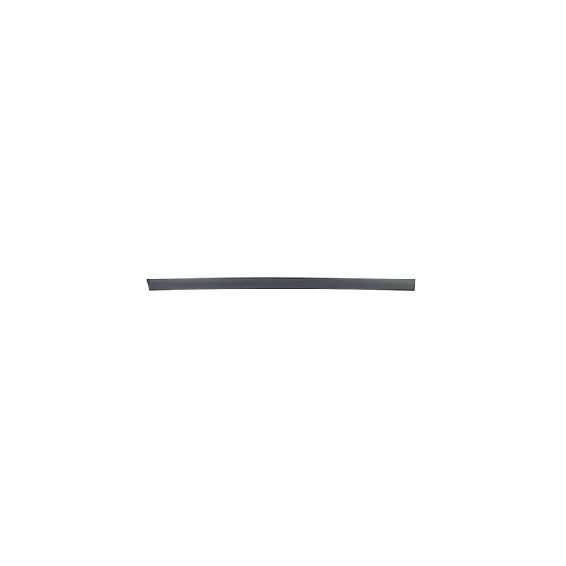 Baguette et bande protectrice, porte avant gauche BSG BSG 65-925-016