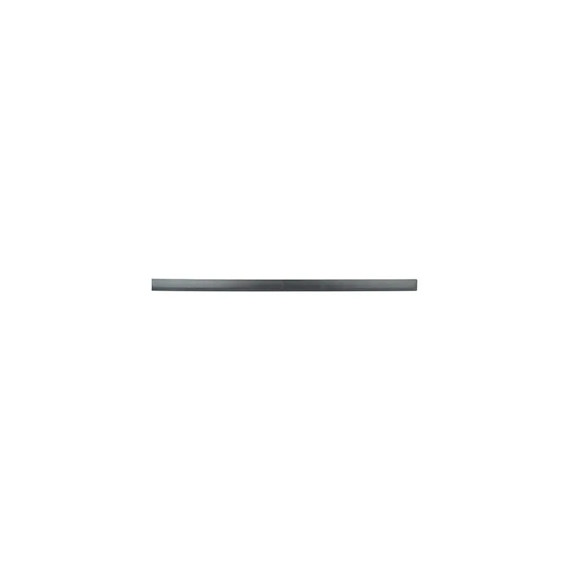 Baguette et bande protectrice, porte avant droit BSG BSG 65-925-017