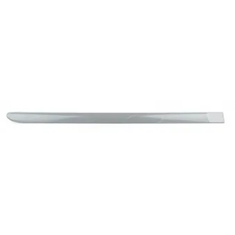 Baguette et bande protectrice, porte arrière droit BSG BSG 65-925-019