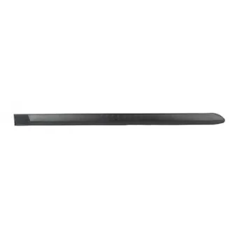 Baguette et bande protectrice, porte arrière droit BSG BSG 65-925-021