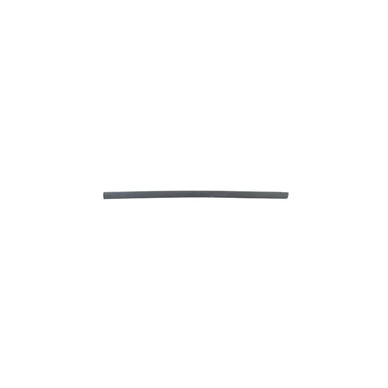 Baguette et bande protectrice, porte avant droit BSG BSG 65-925-022