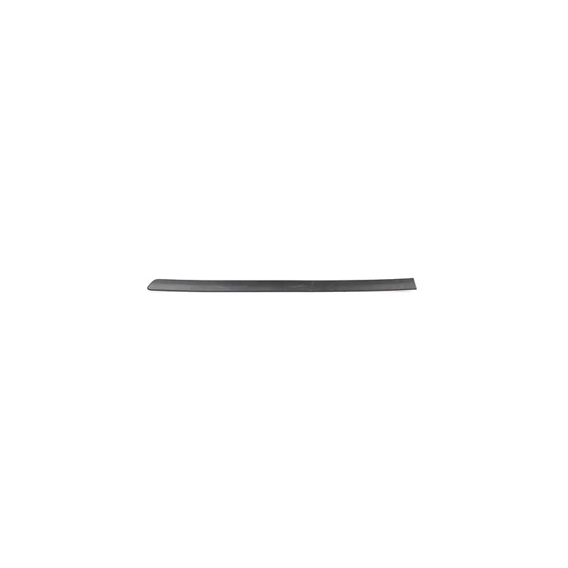 Baguette et bande protectrice, porte arrière gauche BSG BSG 65-925-025