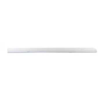 Baguette et bande protectrice, porte arrière droit BSG