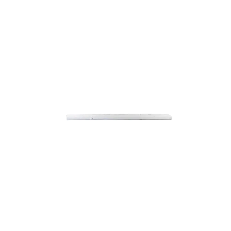 Baguette et bande protectrice, porte arrière droit BSG BSG 65-925-026