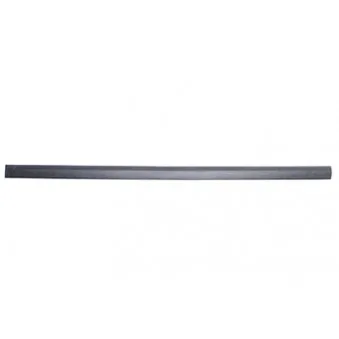 Baguette et bande protectrice, porte avant gauche BSG BSG 65-925-030