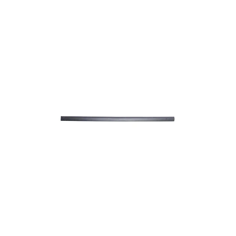 Baguette et bande protectrice, porte avant gauche BSG BSG 65-925-030