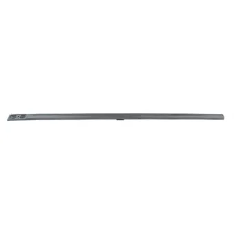 Baguette et bande protectrice, porte avant droit BSG BSG 65-925-035