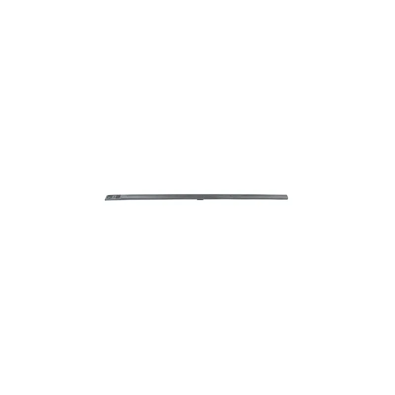 Baguette et bande protectrice, porte avant droit BSG BSG 65-925-035